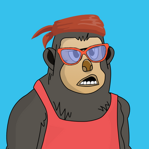 yetis: 6142