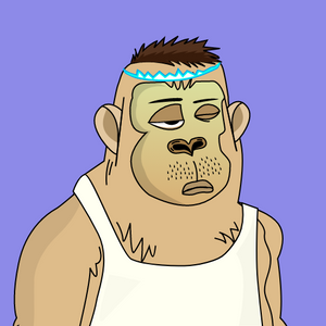 yetis: 8065