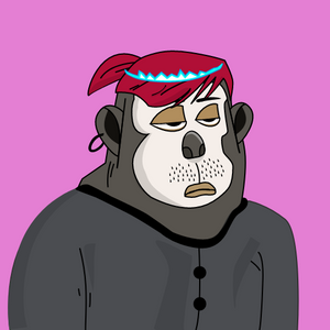 yetis: 6342