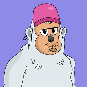 yetis: 9166